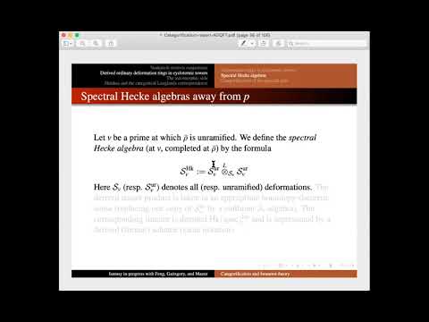 Categorification of the Langlands correspondence and Iwasawa theory