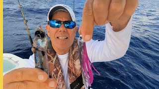 Solo Offshore Fishing: Finding Mahi Mahi with Frigate Birds & Matching the Hatch!