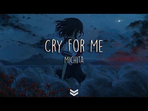 Michita - Cry for me // ft.愛海 ( Lyrics Video )