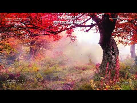 Euphoricast - #86 (September 2024) [HQ Mix]