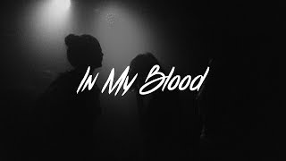 Shawn Mendes - In My Blood Lyrics (Acoustic)