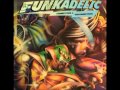 Funkadelic-Connections And Disconnections
