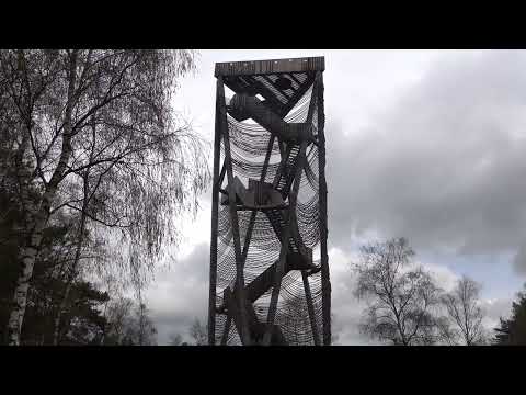 Op wandel in de Lommelse Sahara