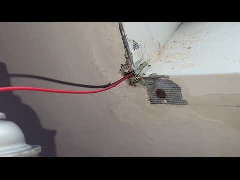 Acrobat Ants Nest in Bathroom Skylight in Holmdel, NJ