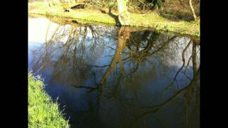 There'll Be Another Spring