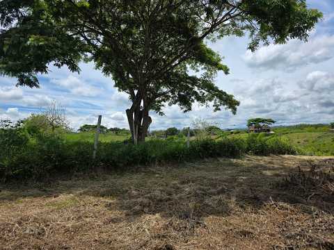 [TERRENOS/LOTES]Venta de Lotes en Quimbaya, sector vía Alcalá – Valle del Cauca. COD: 7555717