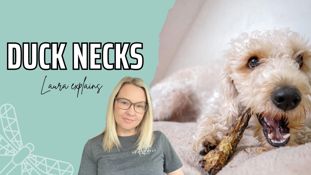 The Benefits of Duck Necks for Dogs | Video