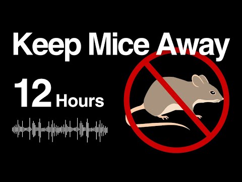 Mouse Repellent Noise | Randomized High-Frequency Sound | 12 Hours
