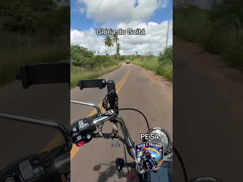 PE 54 - Glória do Goitá. Trecho belíssimo. Pista precisando de alguns reparos.#proletariusinfectus