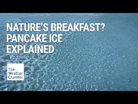 Pancake Ice Explained: How These Rare Frozen Circles Form