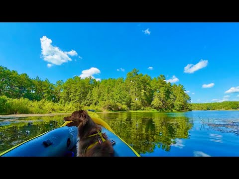 Exploring A Gorgeous Lake With My Pup: Kayaking Adventure In Stunning 4k!