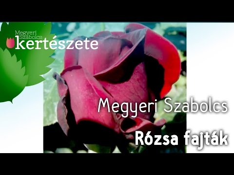 a tücsöknek van parazitája mik a jelei a férgek megjelenésének