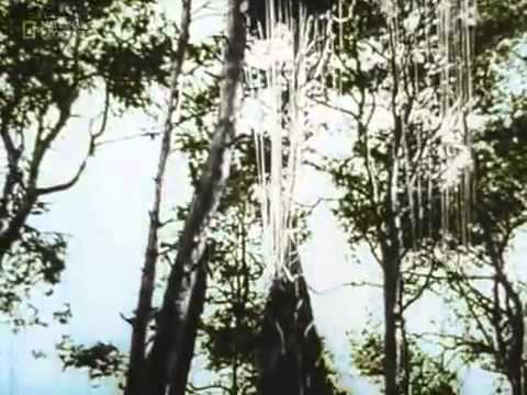 National Geographic Battle Of Arnhem in Color