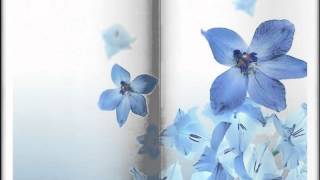 万芳--新不了情