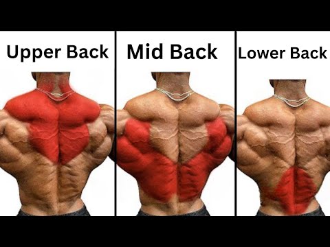 TOP 4 UPPER, MIDDLE, LOWER BACK EXERCISE | WIDER BACK WORKOUT