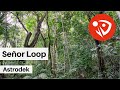 Señor Loop - Astrodek (Audio Oficial)