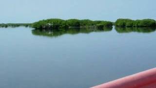 preview picture of video '4 Codrington Lagoon Frigate Bird Sanctuary in Antigua Barbuda'