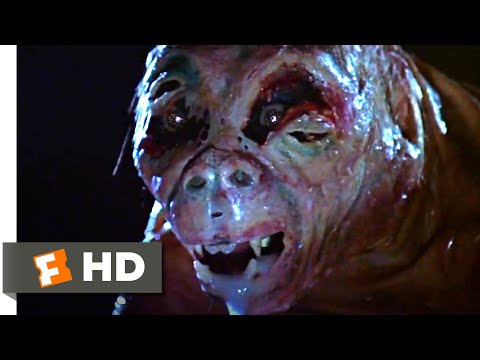Cat People (1982) - Monstrous Transformation Scene (10/10) | Movieclips
