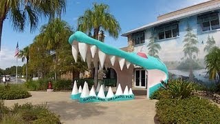 preview picture of video 'Road Trip to Gatorland on the OBT, Orlando, Florida'