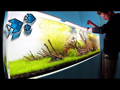 70 new animals in the XXL Aquarium! 😲