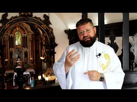 15º Domingo do Tempo Comum | Reflexão do Frei Djalmo