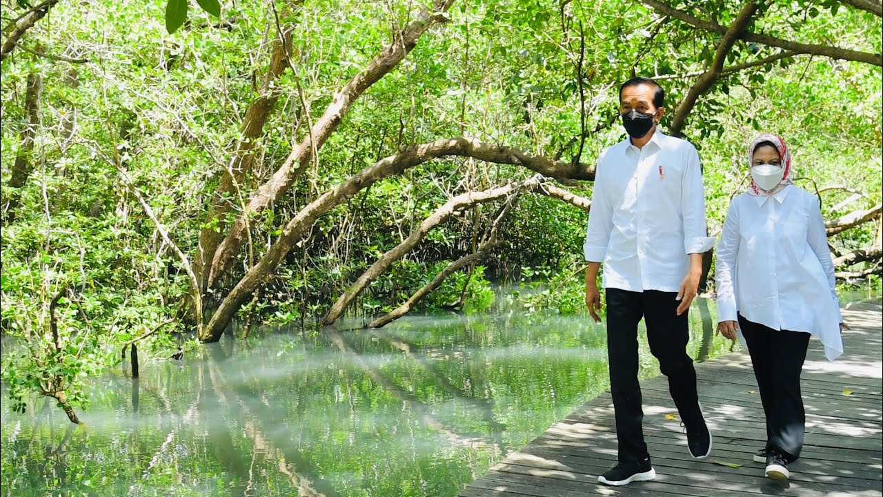 Presiden Republik Indonesia (Ir. H. Joko Widodo) kunjungi Taman Hutan Raya (TAHURA) Ngurah Rai