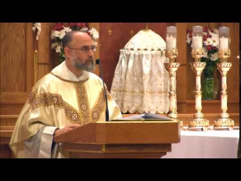 Nov 11 - Homily: God's Order of Virtue