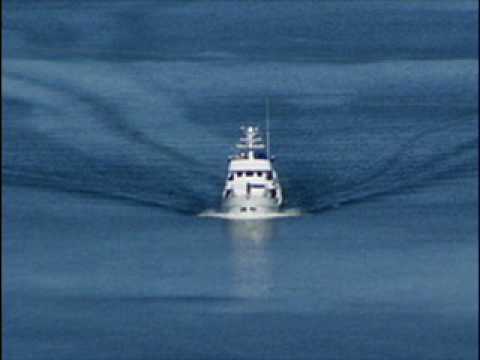 ljubi sam ljubi vašu kćer - Saša Vasić