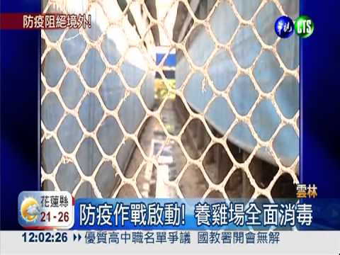 防H7N9境外移入 防疫全面啟動