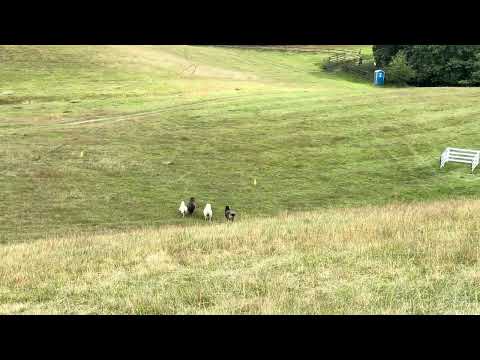 Linje Ebba Sam Häckeberga 12/7 2025 42/73