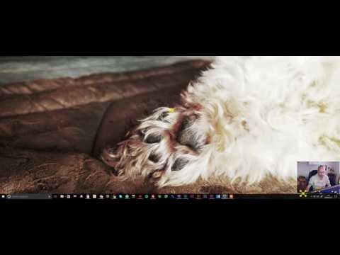 Dronelapse tutorial - Litchi - DJI Inspire 2 e Adobe Premiere