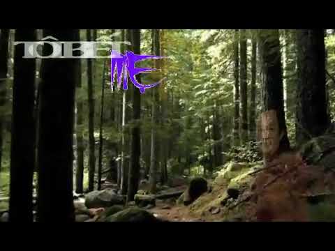 Tôi biết mẹ đã già - Đình Dương