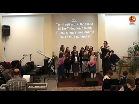 Gosen 31.01.2016 - dum seara (Moldovan Daniel)