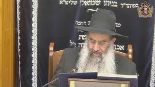 הדף היומי מסכת כתובות דף ח טו' תמוז תשפב מפי מו"ר הרב דן גבאי שליט"א