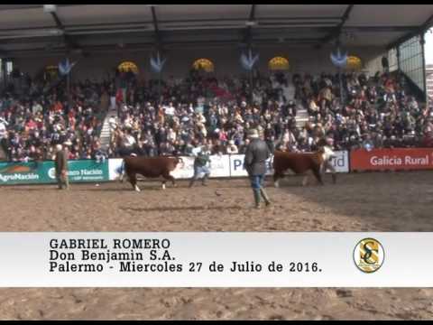 27-07-16 Reservado Gran Campeon Hembra Hereford - Nota Gabriel Romero - Palermo 2016.