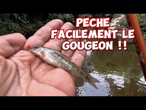 How to fish for gudgeon!!!