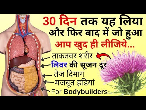 Milk Thistle Benefits Hindi/ Milk Thistle Liver Detox/ Milk Thistle Review