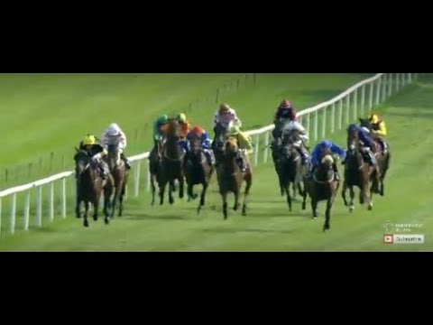 Racing from Gowran Park featuring the Irish Stallion Farms EBF Median Auct Mdn  |30th May 2018|