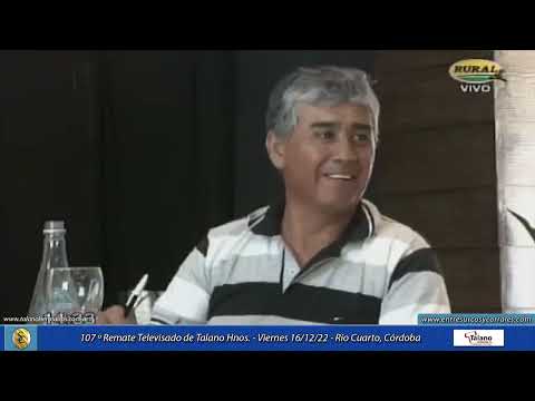 16-12-22 - 107º Remate Televisado de Talano Hnos. - Río Cuarto, Córdoba