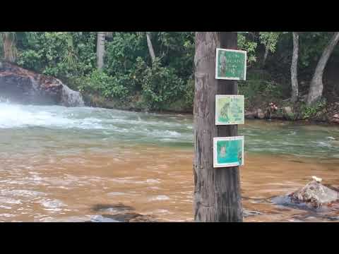 CACHOEIRA GUARANI DE GOIÁS