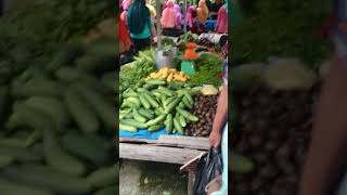 preview picture of video 'Pasar senen kecamatan bungaraya kab.siak'
