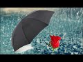 Rain Whatsapp Status Rainy Day Barish Status Monsoon Status Barish Song Barish Quotes