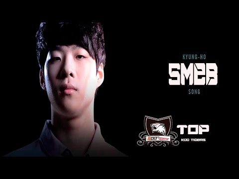 SMEB Montage 2015
