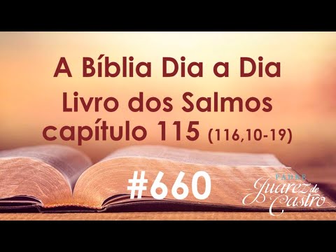 Curso Bíblico 660 - Livro dos Salmos 115 (116,10-19) - Libertação de um perigo de morte /continuação