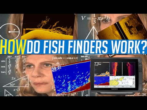 How Do Fish Finders Work? - The BASICS