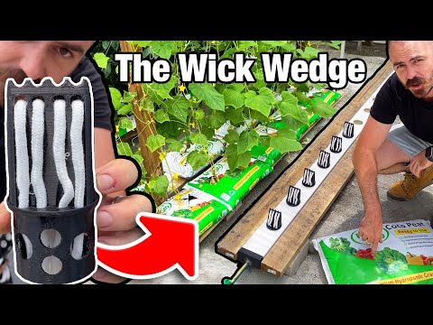The Wick Wedge: 3D Printable Hydroponic System