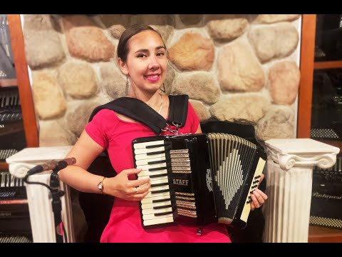 6351 - Black Harmonium Staff Piano Accordion LM 25 18 $399