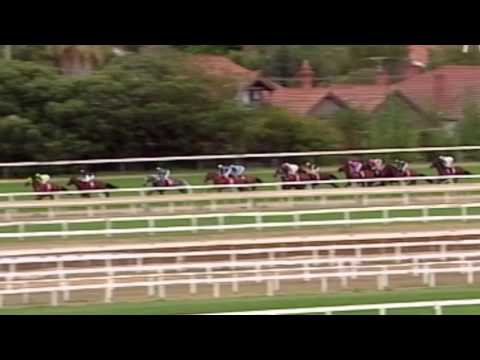 2009 CF Orr Stakes- Maldivian