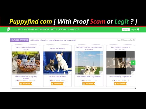 Puppyfind Com