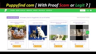 Puppyfind com [ With Proof Scam or Legit  ] Puppyfinder ! Puppyfind Com Reviews ! Puppyfind.Com